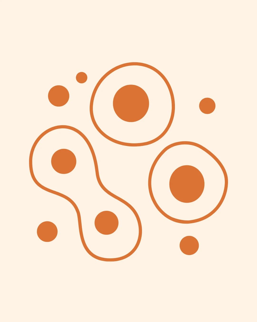 Illustration des cellules graisseuses