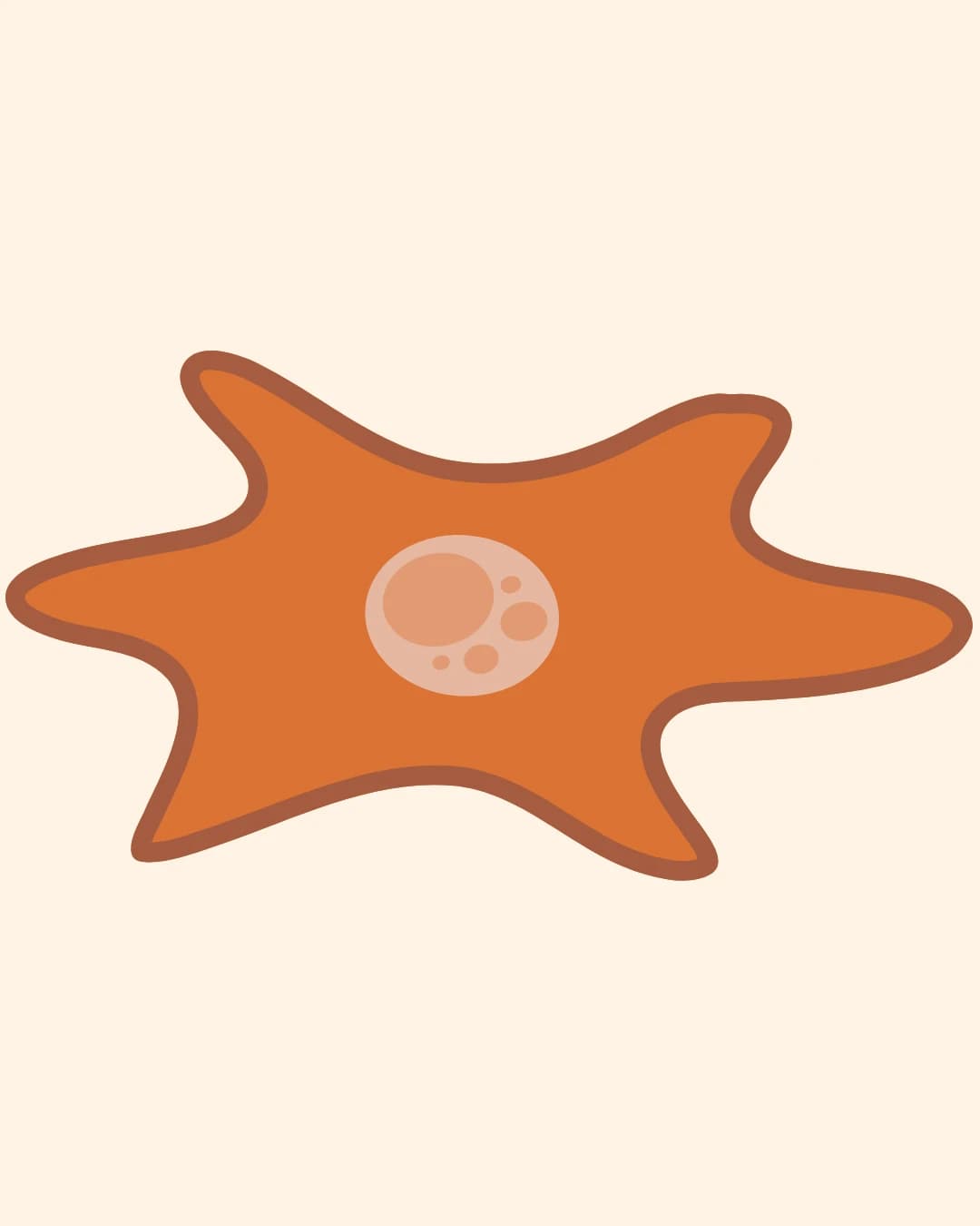 Illustration des cellules fibroblastes